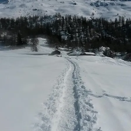 Edelweiss Hérémence