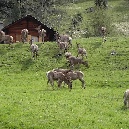 Chalet Edelweiss