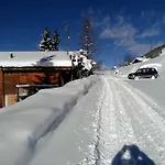 Edelweiss