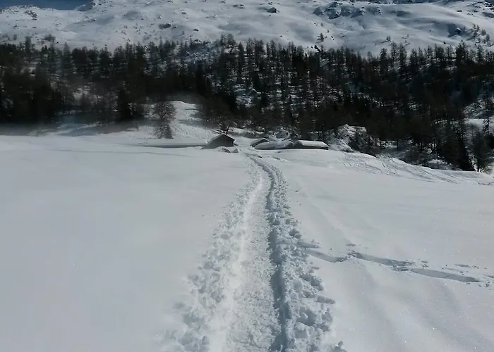 Edelweiss Hérémence